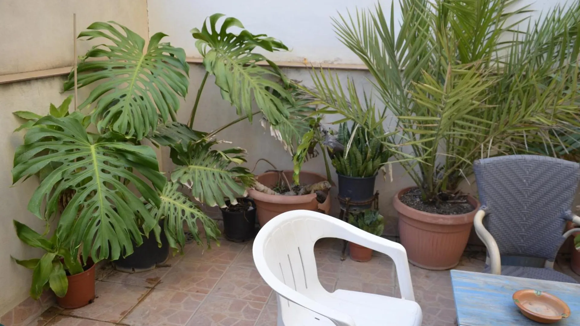 Mama Conchi Bnb Bed & Breakfast Palma de Mallorca 0*,  Spain